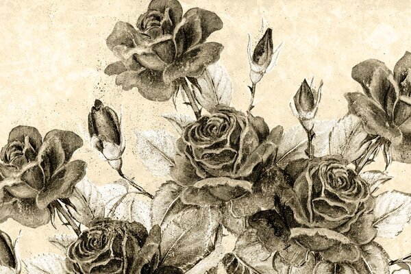 Stampa su tela – Bouquet vintage di rose in versione seppia