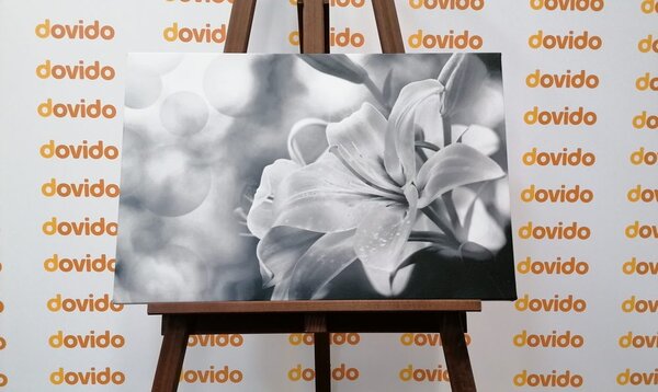 Stampa su tela – Fiore di giglio su sfondo astratto in bianco e nero