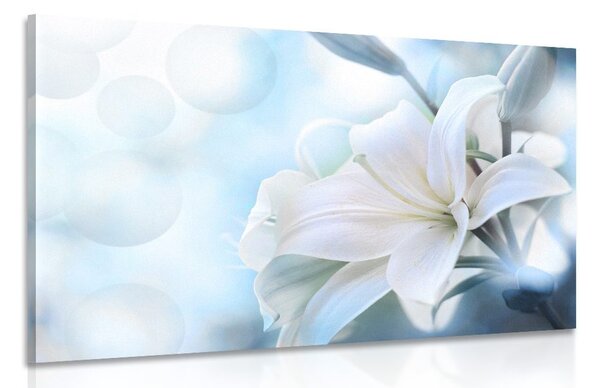 Quadro su tela – Fiore bianco di giglio su sfondo astratto