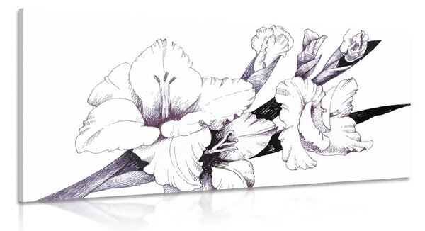 Quadro su tela – Illustrazione di gladioli in fiore
