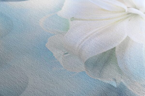Quadro su tela – Fiore bianco di giglio su sfondo astratto