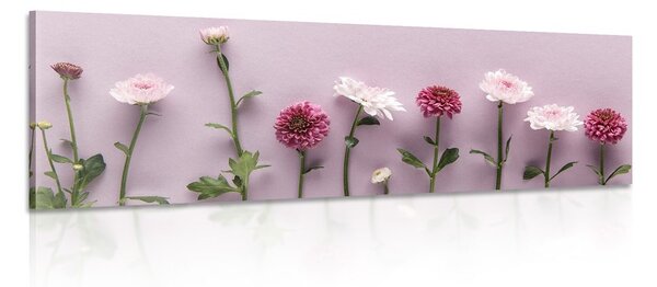 Stampa su tela – Composizione di crisantemi rosa