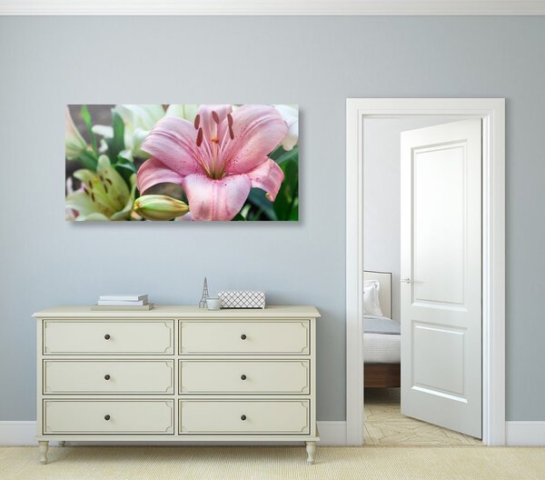 Quadro su tela – Giglio rosa in fiore