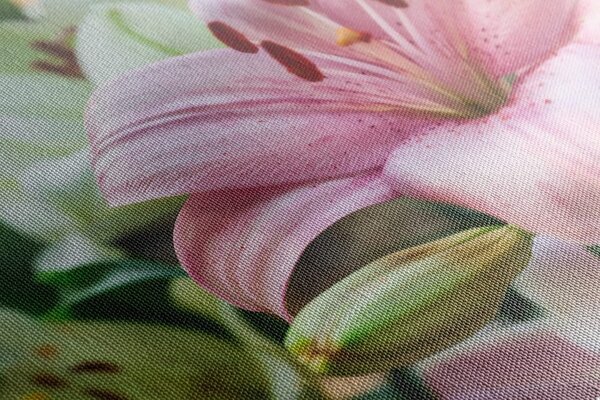 Stampa su tela – Gigli in fiore nel giardino
