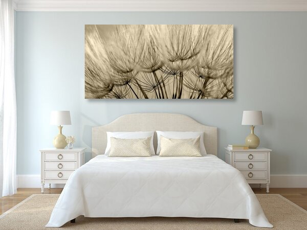 Quadro su tela – Semi di soffione in versione seppia