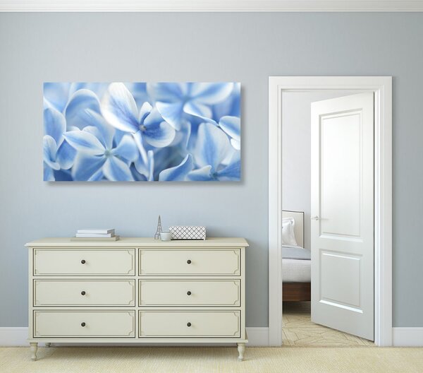 Stampa su tela – Fiori di ortensia blu-bianco