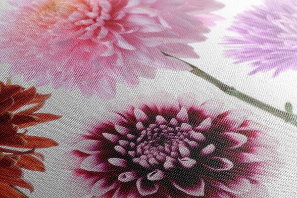 Quadro su tela – Fiori di dalia in design variegato