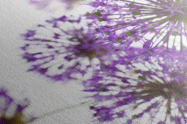 Stampa su tela – Fiori di aglio viola in fiore
