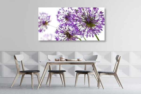 Stampa su tela – Fiori di aglio viola in fiore
