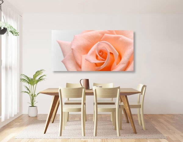 Stampa su tela – Rosa pesca