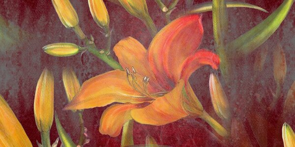 Stampa su tela – Fioritura di giglio arancione