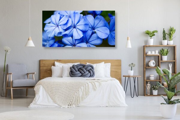 Stampa su tela – Fiori blu pittoreschi