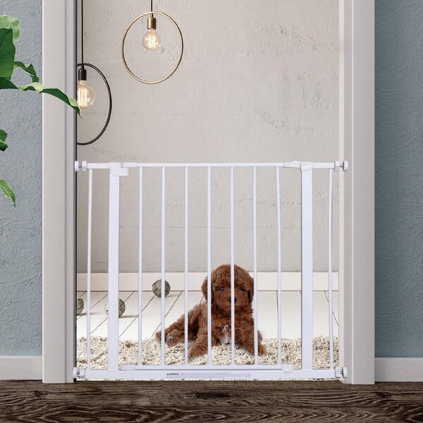AllMyPets Cancelletto per Cani colore Bianco 76 x 72-82 cm - D71AMP59