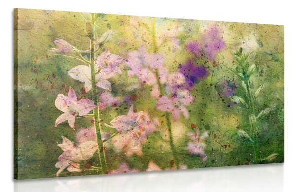 Quadro su tela – Disegno acquerellato di piante di montagna