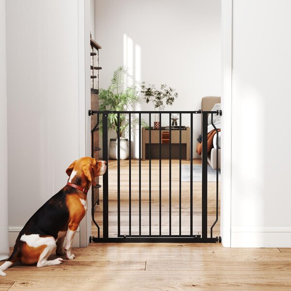 AllMyPets Cancelletto per Cani Estensibile e Regolabile per Scale e Porte, in Acciaio e ABS, 75-85x76 cm colore Nero - L3743BK