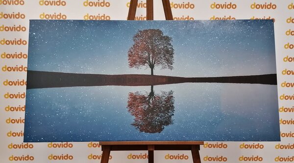 Stampa su tela – Cielo stellato sopra un albero solitario
