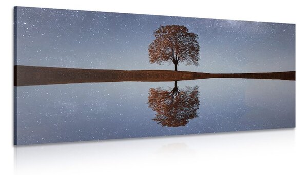 Stampa su tela – Cielo stellato sopra un albero solitario