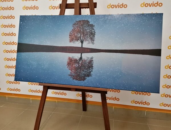 Stampa su tela – Cielo stellato sopra un albero solitario
