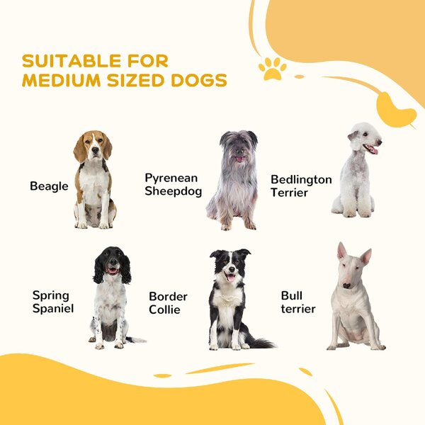AllMyPets Cancelletto per Cani Taglia Media a 3 Pannelli con Doppio Sistema di Blocco 206x90 cm colore Bianco - D92DHWT