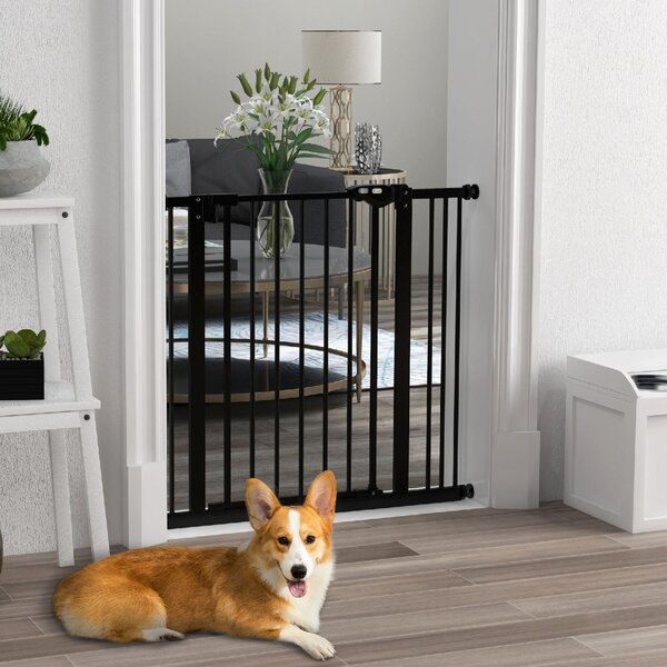 AllMyPets Cancellino per Cani a 2 Estensioni con Larghezza Regolabile fino 100 cm e Chiusura Automatica colore Nero - K587BK