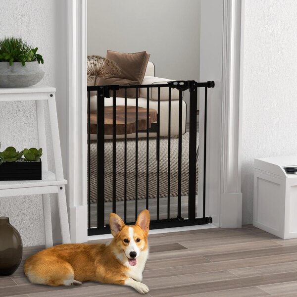 AllMyPets Cancellino per Cani e Animali Domestici con Chiusura Automatica per Scale e Ingressi 68x77 cm colore Nero - BKZ376