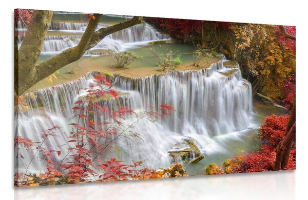 Stampa su tela – Cascata nella foresta
