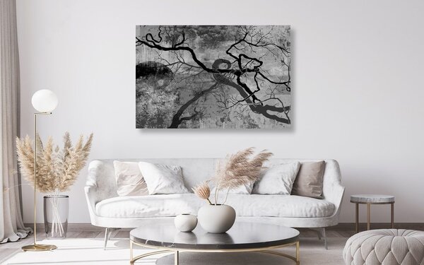 Stampa su tela – Alberi surrealisti in bianco e nero