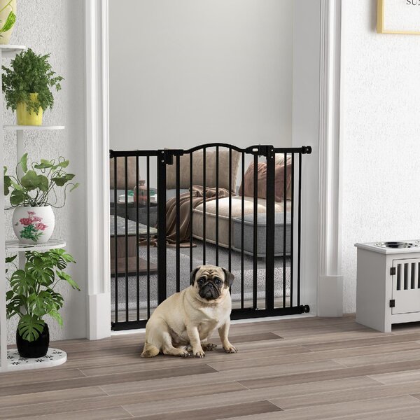 AllMyPets Cancellino per Cani Estensibile Senza Viti Regolabile da 74-100 cm Alto 78 cm in Metallo colore Nero - 46S7BK