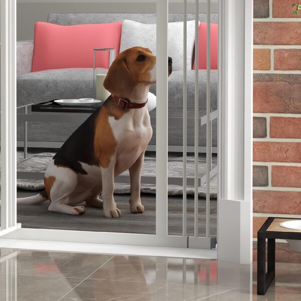 AllMyPets Cancellino per Cani Estensibile Senza Viti Regolabile da 74-100 cm in Metallo colore Bianco - 99T3WT