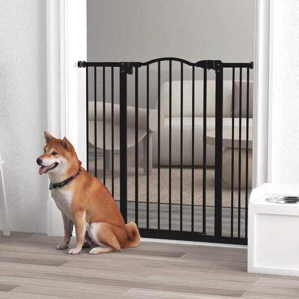 AllMyPets Cancellino per Cani Estensibile Senza Viti Regolabile da 74-100 cm in Metallo colore Nero - 99U3BK