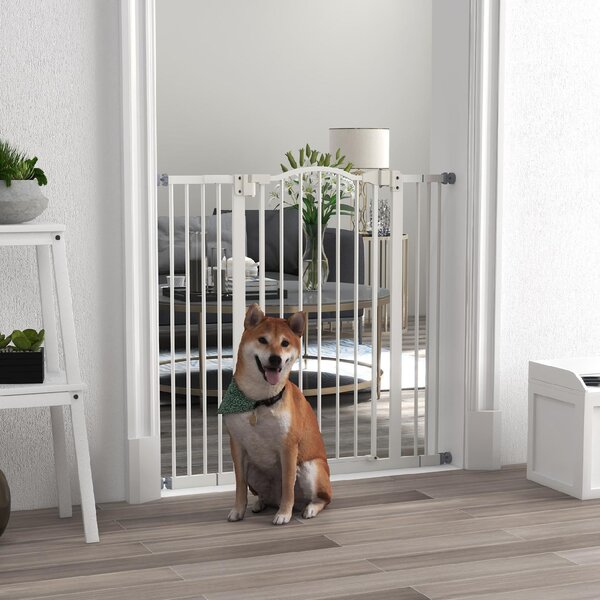 AllMyPets Cancellino per Cani Estensibile Senza Viti Regolabile da 74-100 cm in Metallo colore Bianco - 99T3WT
