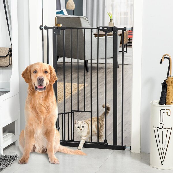 AllMyPets Cancellino per Cani Regolabile Alto con Porta Piccola e Chiusura Automatica 74-80x104 cm colore Nero - 24A481F