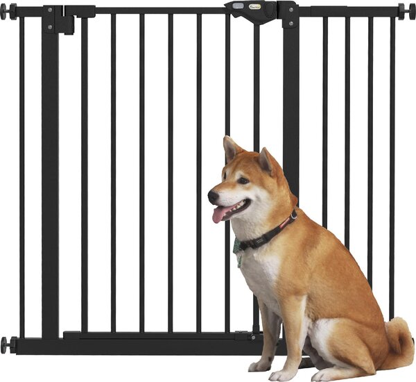 AllMyPets Cancellino per Cani Regolabile con Chiusura Automatica in Acciaio e Plastica 74-100x77 cm colore Nero - BKEF243