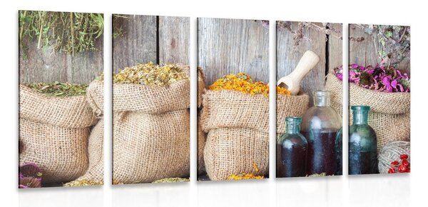 Quadri 5 pezzi – Erbe medicinali