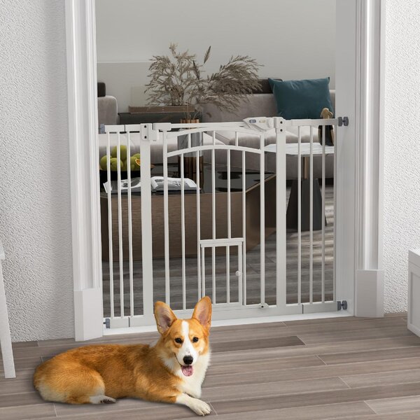 AllMyPets Cancellino per Cani taglia Piccola e Media con Chiusura Automatica in Acciaio e PA 74-100x76 cm colore Bianco - 1WTAM262