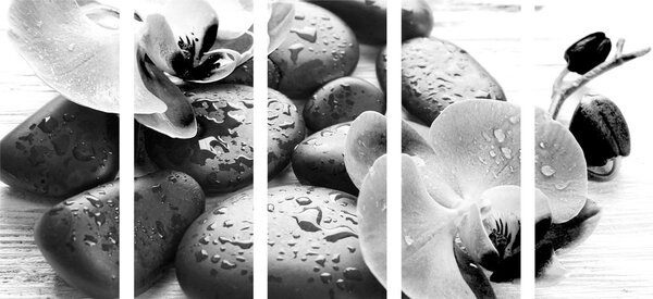 Quadri 5 pezzi – Armonia di pietre e orchidea in bianco e nero