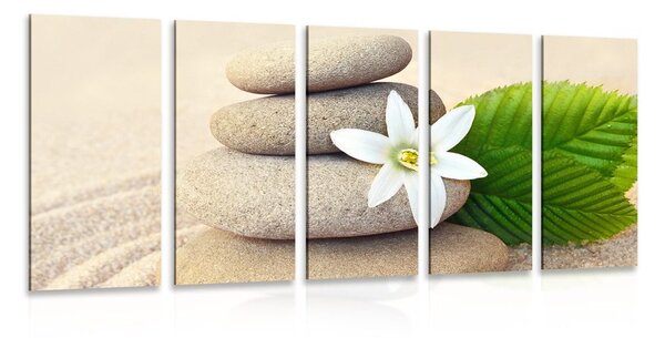 Quadri 5 pezzi – Fiore bianco e pietre nella sabbia