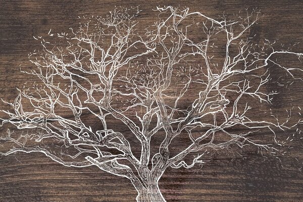 Stampa su tela – Corona dell'albero su sfondo di legno