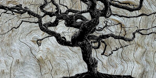 Stampa su tela – Albero astratto su legno