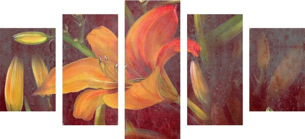 Quadri 5 pezzi – Fioritura del giglio arancione