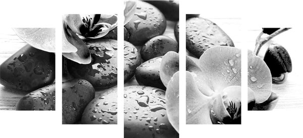 Quadri 5 pezzi – Bellissima armonia di pietre e orchidea in bianco e nero