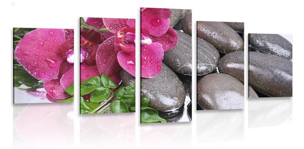 Quadri 5 pezzi – Orchidea fiorita e pietre wellness