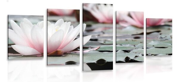 Quadri 5 pezzi – Fiore di loto