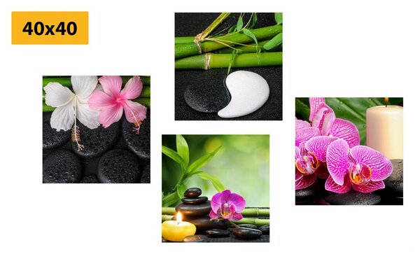 Set di quadri – Natura morta Feng Shui