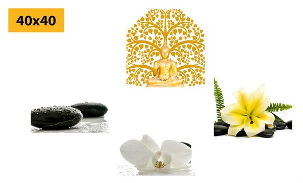 Set di quadri – Natura morta Feng Shui delicata