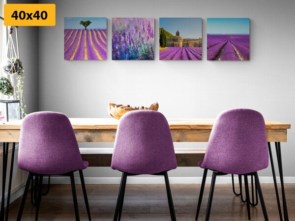 Set di quadri – Campo di lavanda