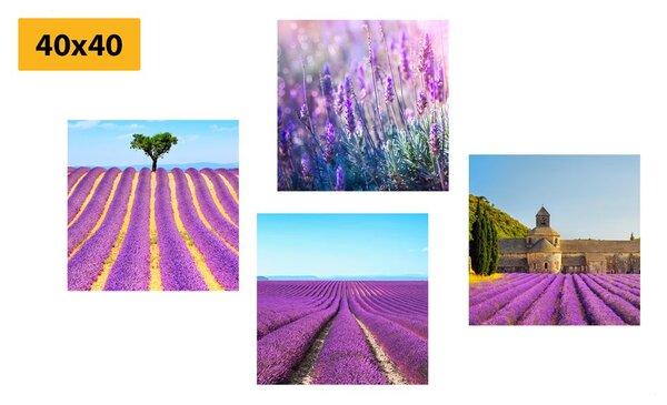Set di quadri – Campo di lavanda