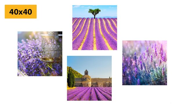 Set di quadri – Ricchezza della lavanda