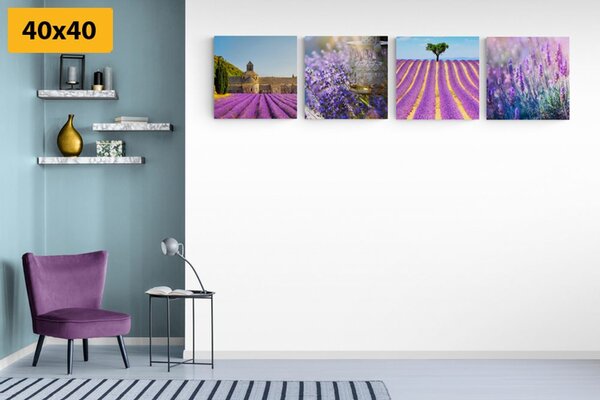 Set di quadri – Ricchezza della lavanda