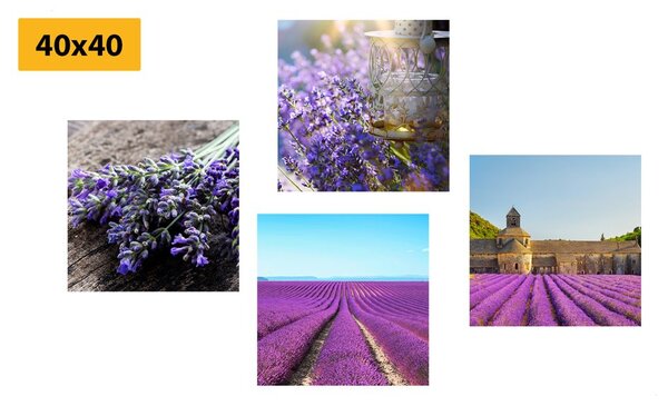 Set di quadri – Bella lavanda